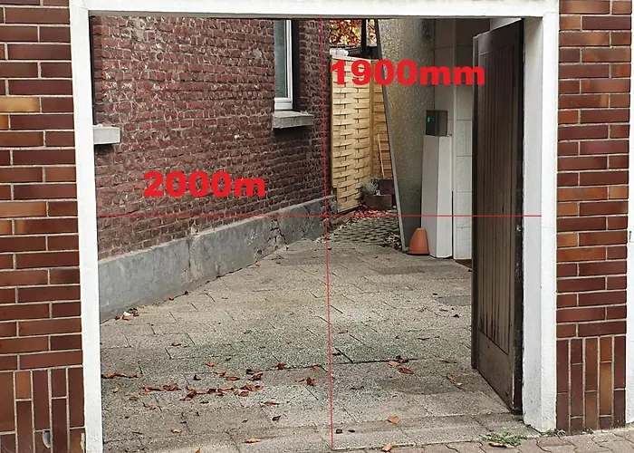 Linden 13 *